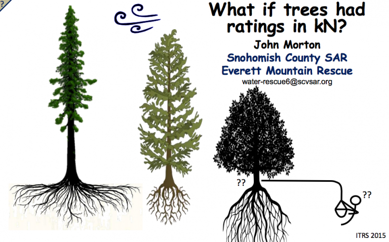 From John Morton for ITRS: What if Trees Had Ratings in kN? Tree Anchor "Ratings" Based on Wind Loading