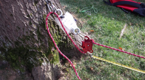 From Larry Walters for ITRS: Modern Day Belay Testing