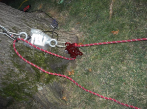From Larry Walters for ITRS: Modern Day Belay Testing