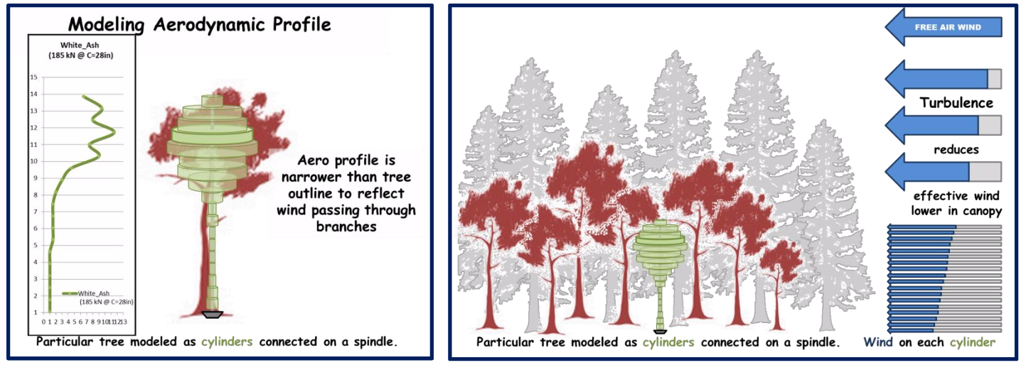 From John Morton for ITRS: What if Trees Had Ratings in kN? Tree Anchor "Ratings" Based on Wind Loading Picture 2