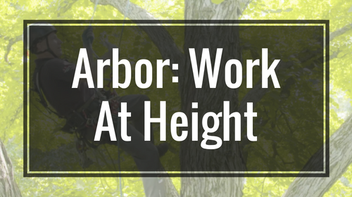 Arbor - Work At Height - Rigging Lab Academy