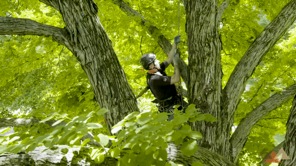 Efficient Walking System for Rope Ascent