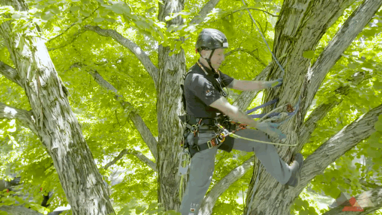 Frictionless Tree Work with Natural Redirects