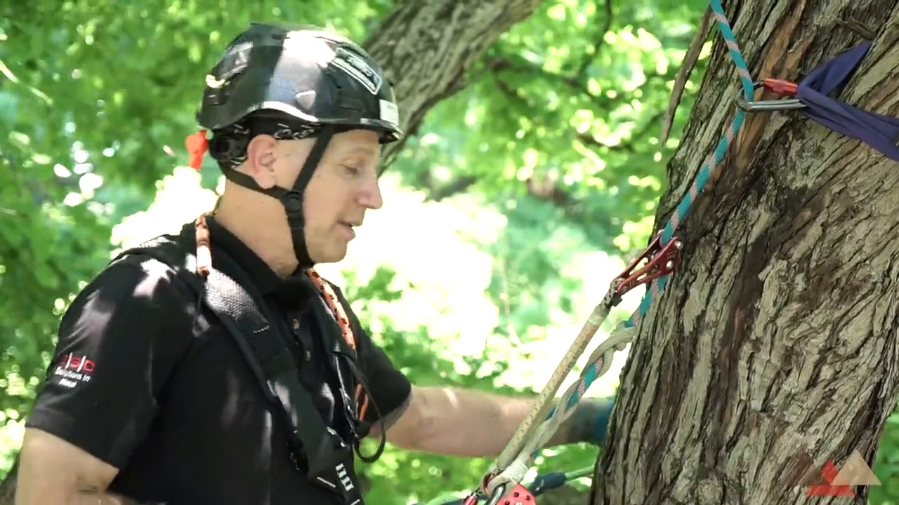 Sling Redirect Techniques for Arborists and Rope Rescue | Rigging Lab ...