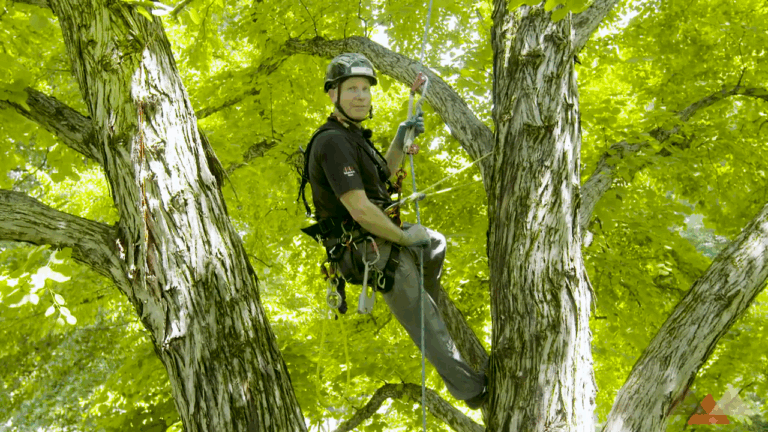 Single Rope Descent The Stationary Work System