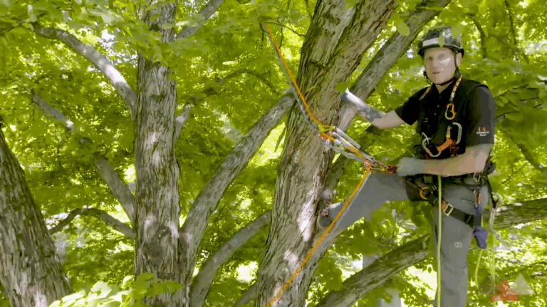 Understanding natural redirects in mirrored systems