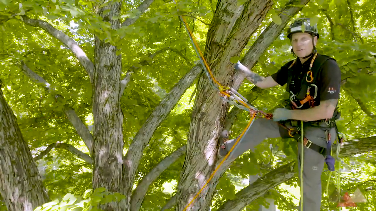 Understanding natural redirects in mirrored systems | Rigging Lab Academy