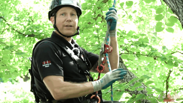 double rope system arborists