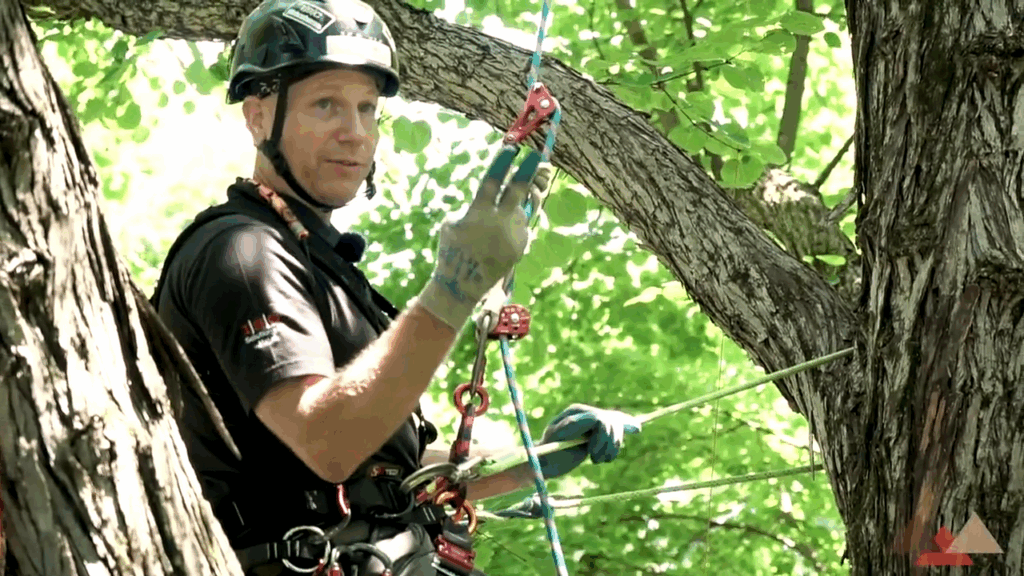 single rope work positioning systems arborist tree climbing